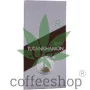 Auto Tutankhamon Feminised Pyramid Seeds